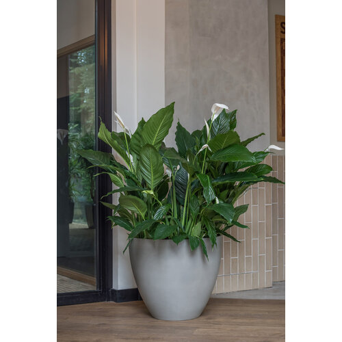 Pottery Pots Jesslyn, L - Clouded grey