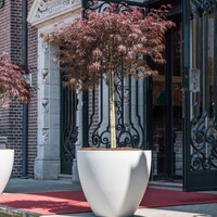 Pottery Pots Jesslyn, M - Natural white