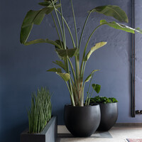 Pottery Pots Orb, S - Zwart