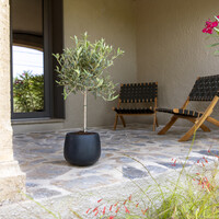 Pottery Pots Orb, S - Zwart