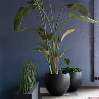 Pottery Pots Orb, L - Zwart