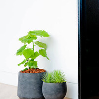 Pottery Pots Mini Orb, XL - Black washed