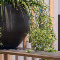 Pottery Pots Mini Orb, XL - Black washed