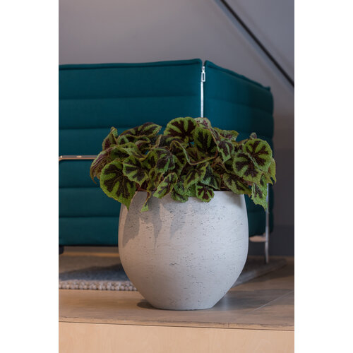 Pottery Pots Mini Orb, L - Grey washed