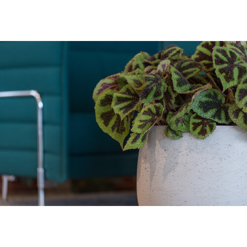 Pottery Pots Mini Orb, L - Grey washed