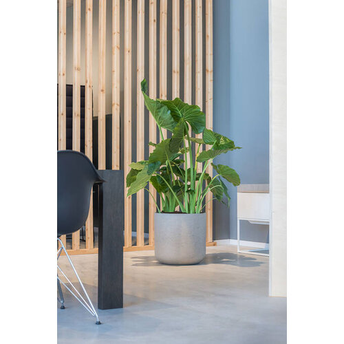 Pottery Pots Charlie, XL - Grey washed