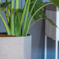 Pottery Pots Charlie, XL - Grey washed