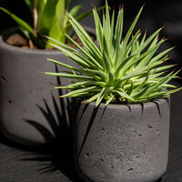 Pottery Pots Charlie, XL - Black washed