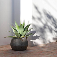 Pottery Pots Harley low, S - Diorite grey