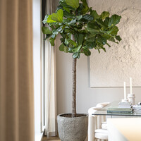 Pottery Pots Mt Russell, M - Diorite grey