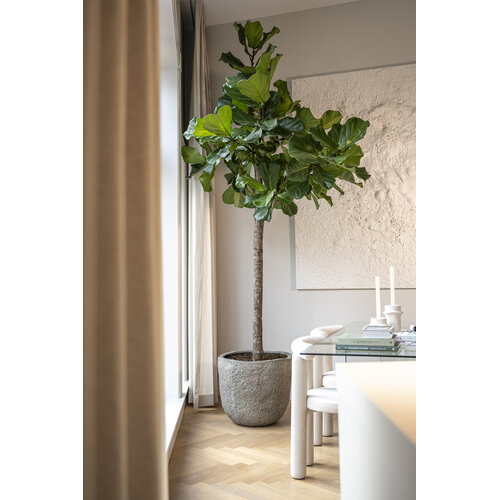 Pottery Pots Mt Russell, L - Diorite grey