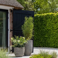 Pottery Pots Mt Russell, XL - Diorite grey