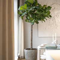 Pottery Pots Mt Russell, XL - Diorite grey