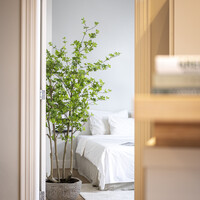 Pottery Pots Mt Francis, XS - Diorite grey