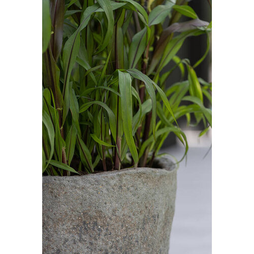 Pottery Pots Mt Hunter, XS - Diorite grey