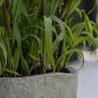 Pottery Pots Mt Hunter, L - Diorite grey