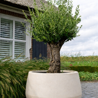 Plantenbak Koert 95 | Sandstone