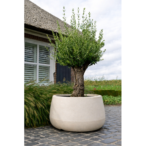 Plantenbak Koert 95 | Sandstone