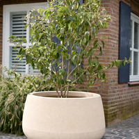 Plantenbak Koert 95 | Sandstone
