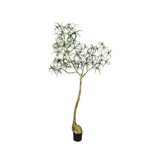 Pottery Pots Kunstplant - Queensland bottle Tree L, Green