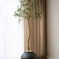 Pottery Pots Kunstplant - Queensland bottle Tree L, Green