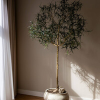Pottery Pots Kunstplant - Queensland bottle Tree XL, Green
