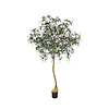 Kunstplant - Queensland bottle Tree XL, Green
