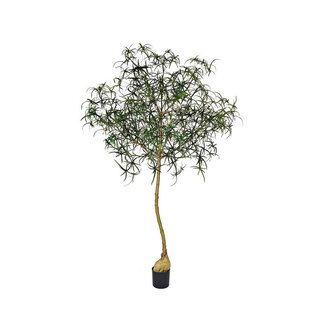 Pottery Pots Kunstplant - Queensland bottle Tree XL, Green