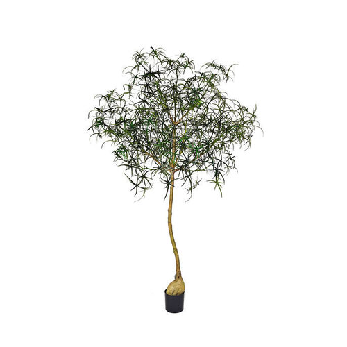Pottery Pots Kunstplant - Queensland bottle Tree XL, Green