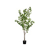 Kunstplant - Ginko Biloba Tree L, Green