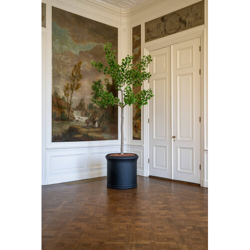 Pottery Pots Kunstplant - Ginko Biloba Tree XL, Green