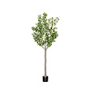 Kunstplant - Ginko Biloba Tree XL, Green