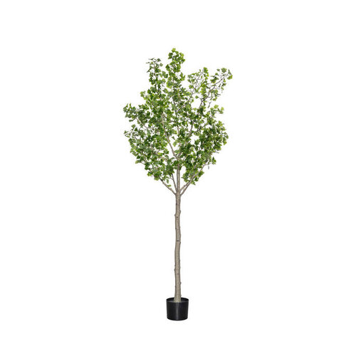 Pottery Pots Kunstplant - Ginko Biloba Tree XL, Green