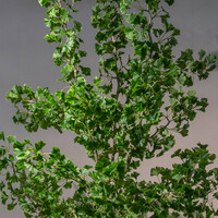 Pottery Pots Kunstplant - Ginko Biloba Tree L, Green