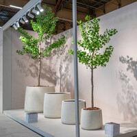 Pottery Pots Kunstplant - Ginko Biloba Tree XXL, Green