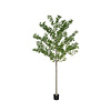 Kunstplant - Ginko Biloba Tree XXL, Green