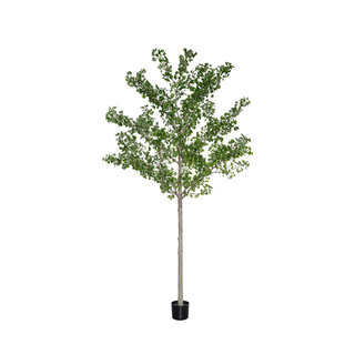 Pottery Pots Kunstplant - Ginko Biloba Tree XXL, Green