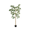 Kunstplant - Buchida Buceras Shady Lady Tree XXL, Green