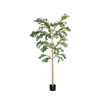 Pottery Pots Kunstplant - Buchida Buceras Shady Lady Tree XXL, Green