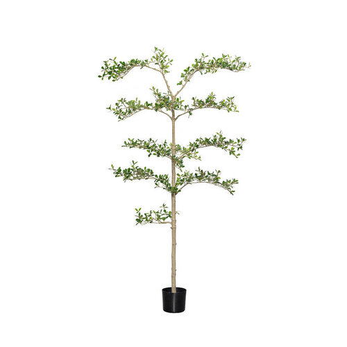 Pottery Pots Kunstplant - Buchida Buceras Shady Lady Tree L, Green