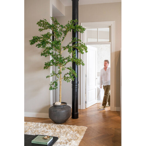 Pottery Pots Kunstplant - Buchida Buceras Shady Lady Tree XXL, Green