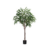 Kunstplant - Ficus Alii Tree XL, Green