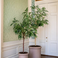 Pottery Pots Kunstplant - Ficus Alii Tree XL, Green