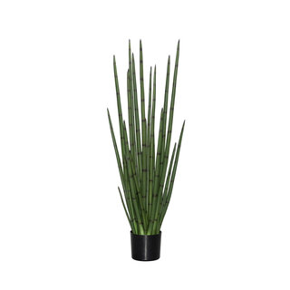 Pottery Pots Kunstplant - Sansevieria Cylindrica M, Green