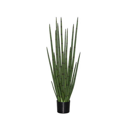 Pottery Pots Kunstplant - Sansevieria Cylindrica M, Green