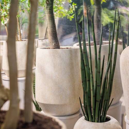 Pottery Pots Kunstplant - Sansevieria Cylindrica L, Green