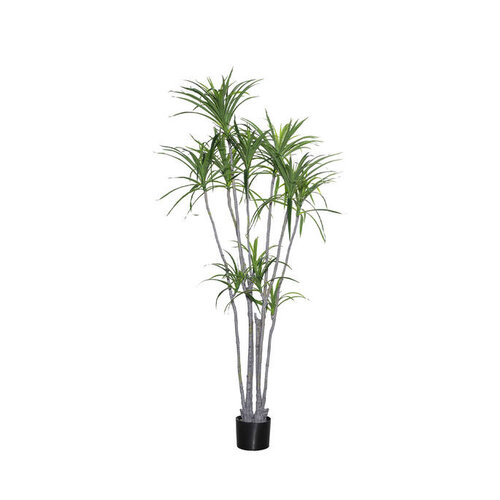 Pottery Pots Kunstplant - Dracaena Marginata XL, Green