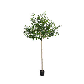 Pottery Pots Kunstplant - Ficus Triangularis Tree XL, Green