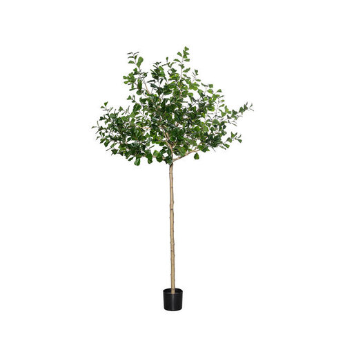Pottery Pots Kunstplant - Ficus Triangularis Tree XL, Green