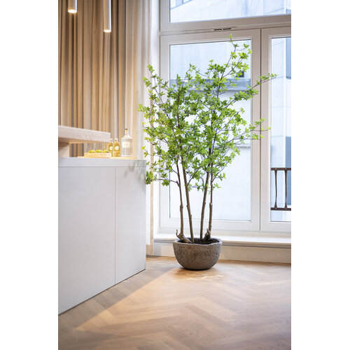 Pottery Pots Kunstplant - Enkianthus perulatus M, Green